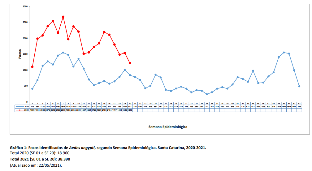 grafico1