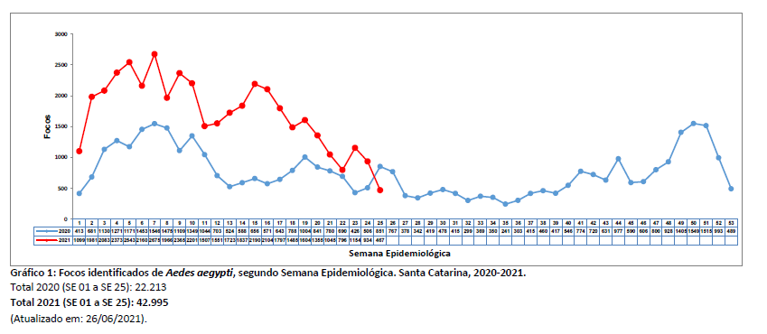 grafico1